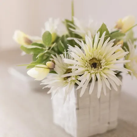 Pensión Lungomare & Charme