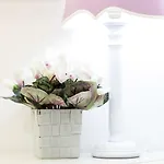 بيت ضيافة Lungomare & Charme