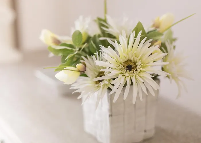 招待所 Lungomare & Charme